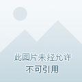 普罗之主百度 普罗之主百度