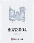 重启2004汽车时代