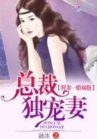 一胎双宝总裁娇妻火辣辣 一胎双宝总裁娇妻火辣辣