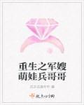 重生之军嫂萌娃兵爹爹简介 重生之军嫂萌娃兵爹爹简介
