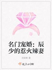 名门宠婚:辰少的惹火辣妻 名门宠婚:辰少的惹火辣妻