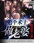 追个术士做老婆 追个术士做老婆
