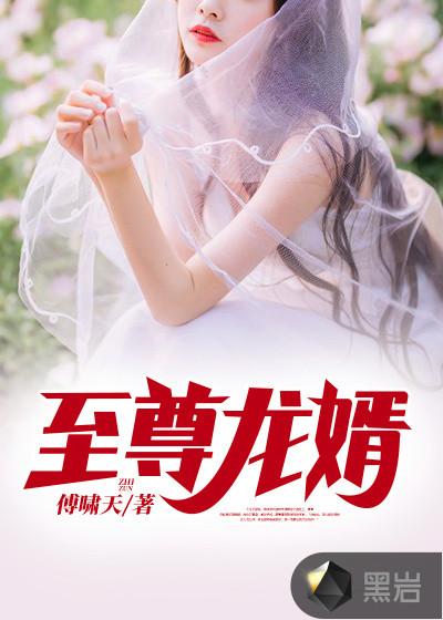 至尊龙婿林浩然 至尊龙婿林浩然