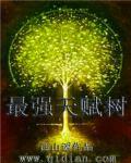 最强天赋树 最强天赋树