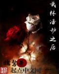 武林浩劫之后 武林浩劫之后
