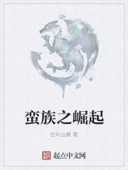 蛮族之崛起 蛮族之崛起