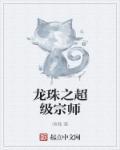 龙珠之超级宗师 龙珠之超级宗师