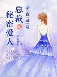 暗夜藏娇:总裁的秘密爱人 暗夜藏娇:总裁的秘密爱人
