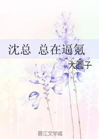 沈总 总在逼氪 沈总 总在逼氪