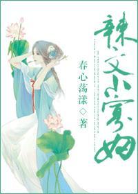 辣文小寡妇 辣文小寡妇