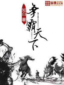 争霸天下 争霸天下