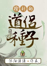 暗夜狂枭 暗夜狂枭
